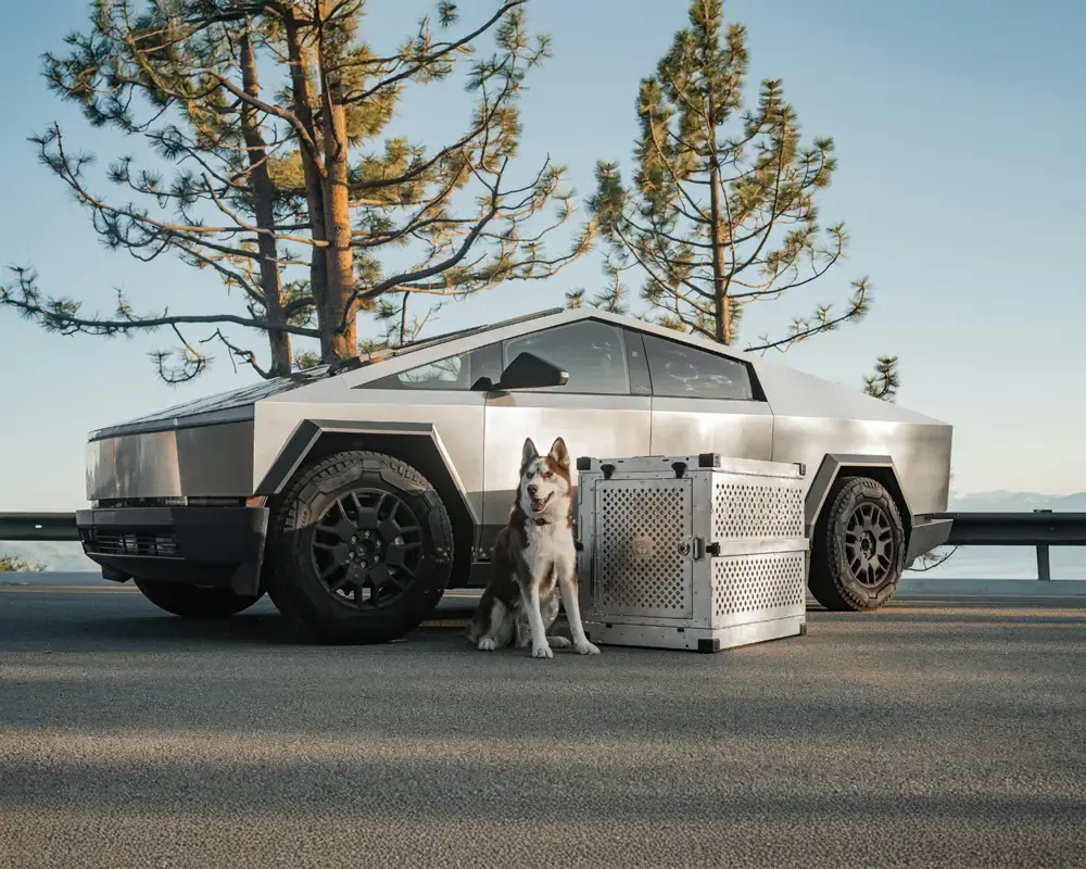 Otomotiv Aksesuar Trendleri 2025